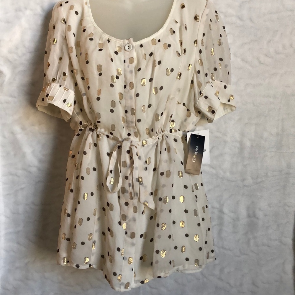 Lined Sheer Blouse